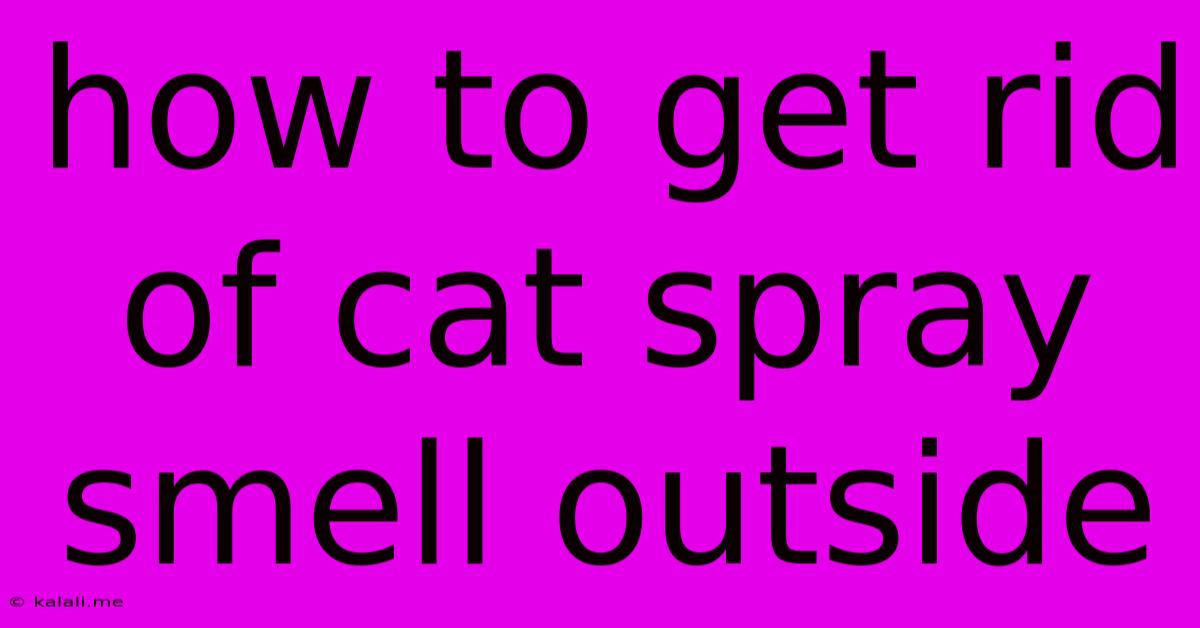 How To Get Rid Of Cat Spray Smell Outside