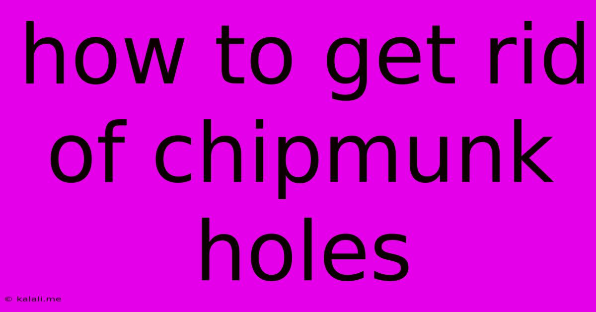 How To Get Rid Of Chipmunk Holes