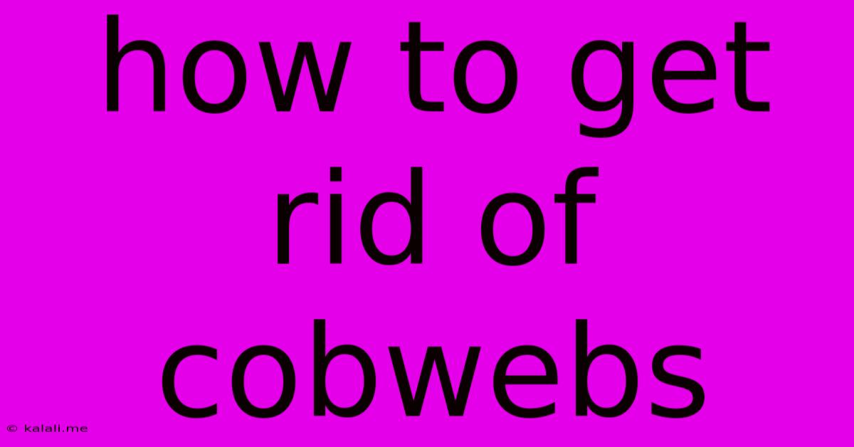 How To Get Rid Of Cobwebs