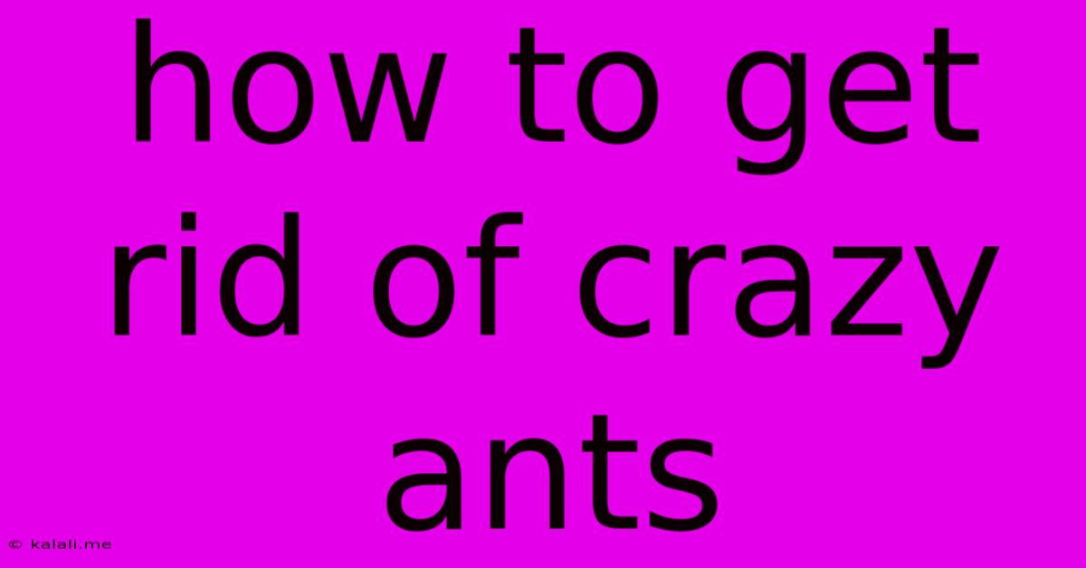 How To Get Rid Of Crazy Ants