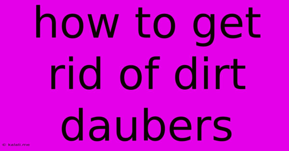 How To Get Rid Of Dirt Daubers