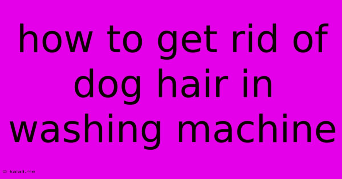 How To Get Rid Of Dog Hair In Washing Machine