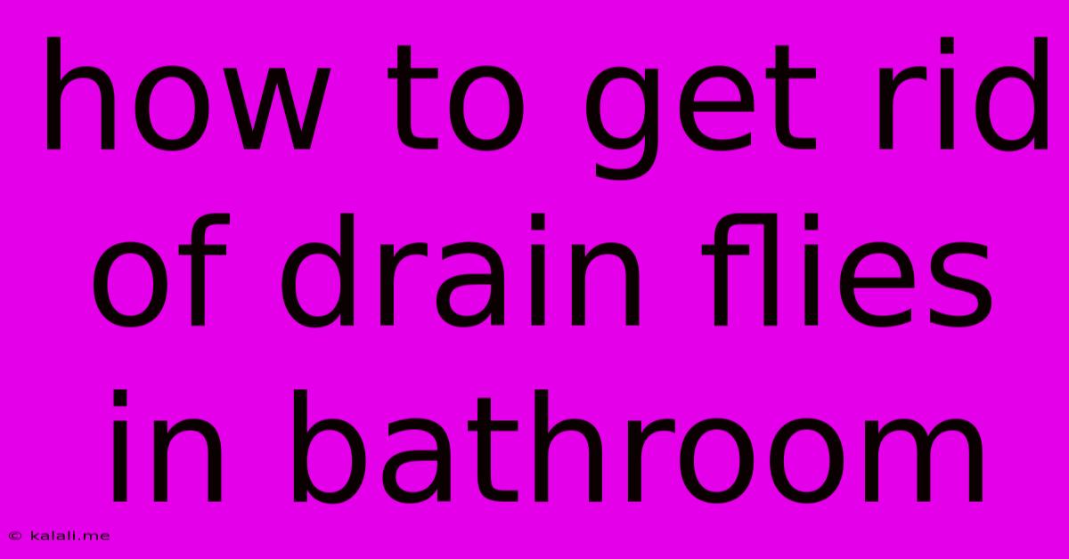 How To Get Rid Of Drain Flies In Bathroom