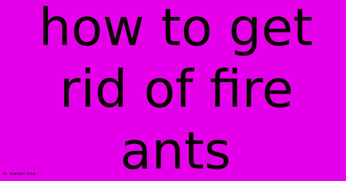 How To Get Rid Of Fire Ants