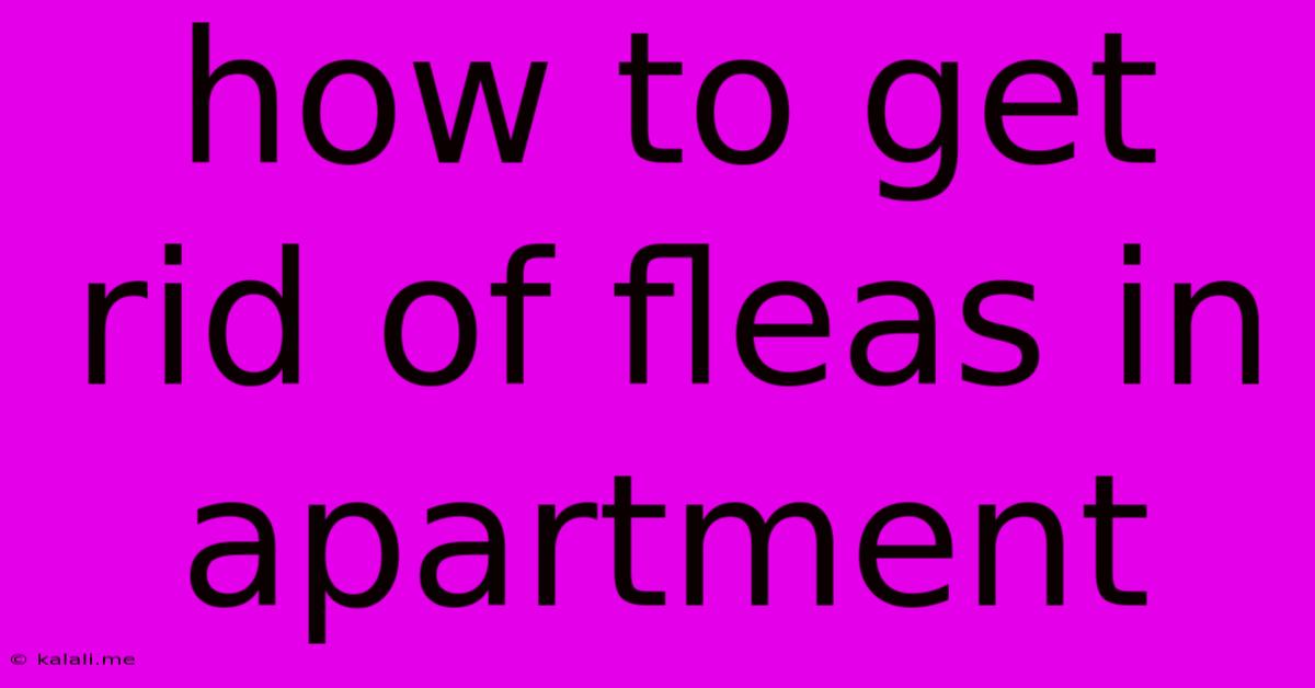 How To Get Rid Of Fleas In Apartment