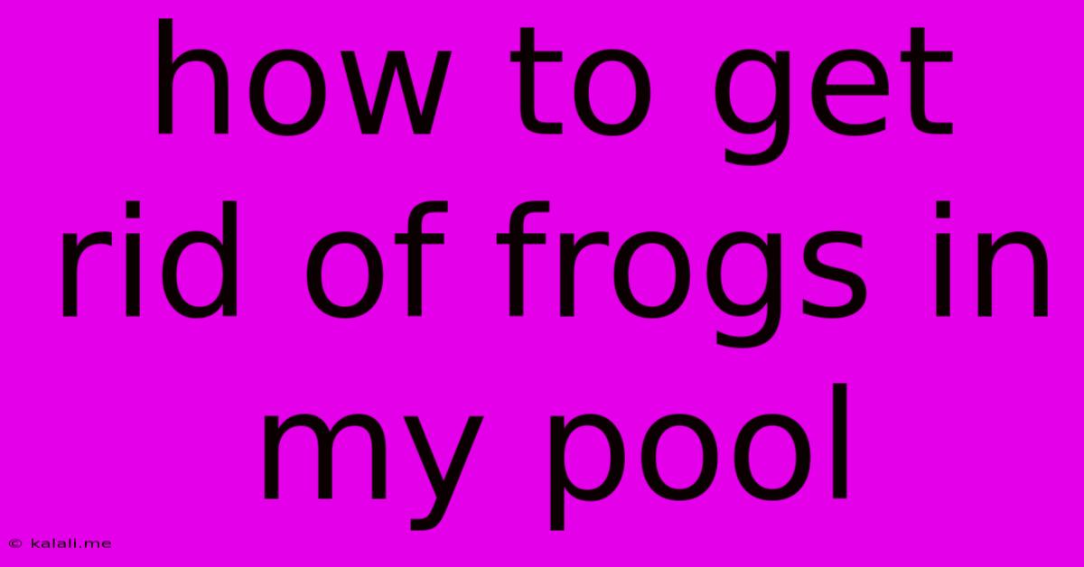 How To Get Rid Of Frogs In My Pool