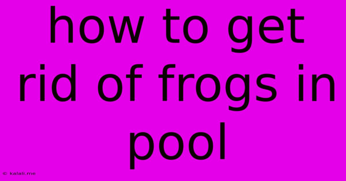 How To Get Rid Of Frogs In Pool