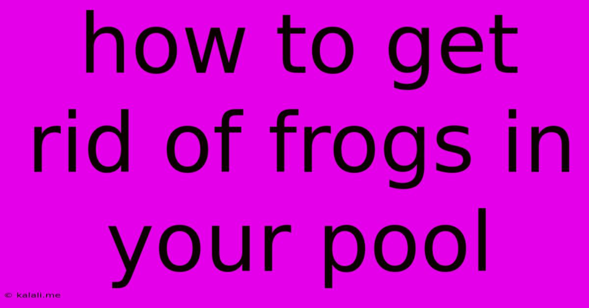How To Get Rid Of Frogs In Your Pool