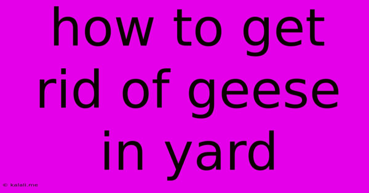 How To Get Rid Of Geese In Yard