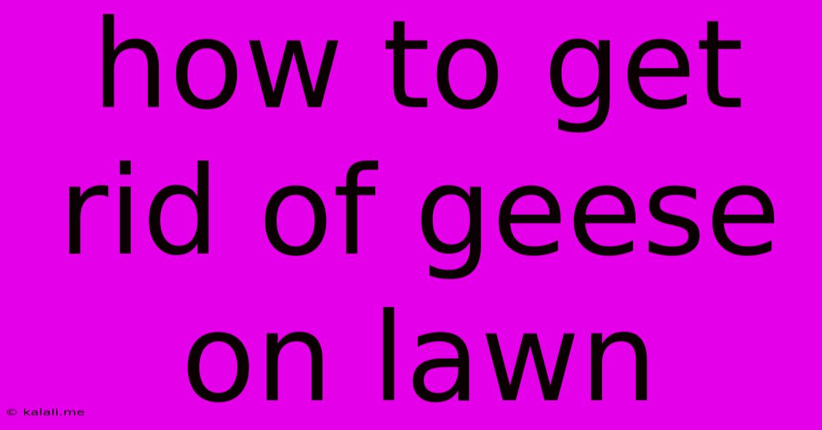 How To Get Rid Of Geese On Lawn