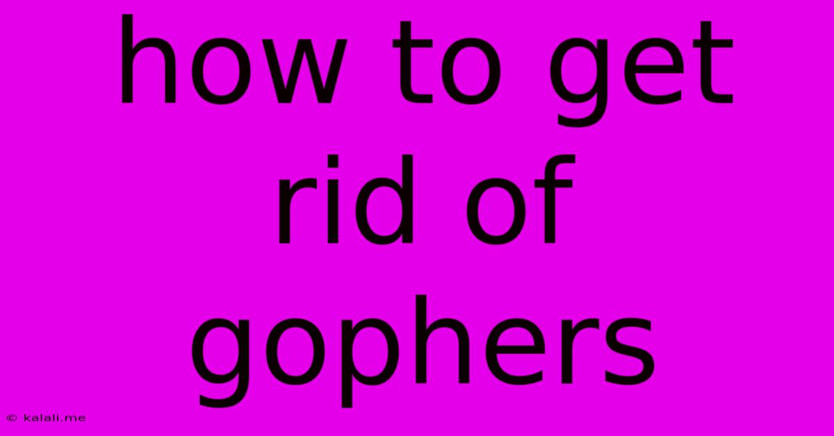 How To Get Rid Of Gophers