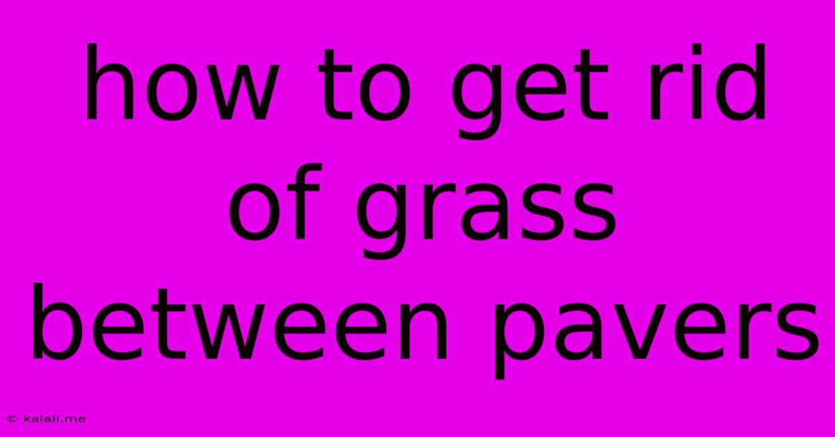 How To Get Rid Of Grass Between Pavers