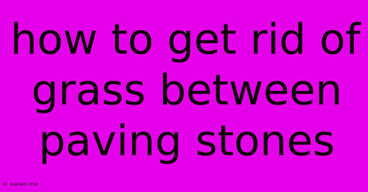 How To Get Rid Of Grass Between Paving Stones