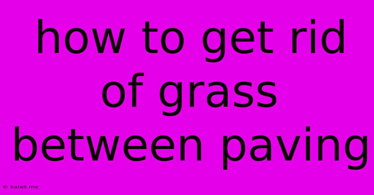 How To Get Rid Of Grass Between Paving