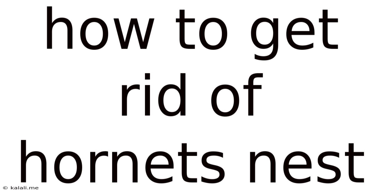How To Get Rid Of Hornets Nest