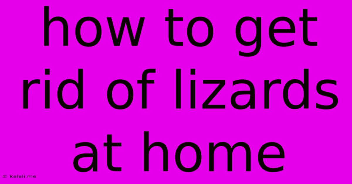 How To Get Rid Of Lizards At Home