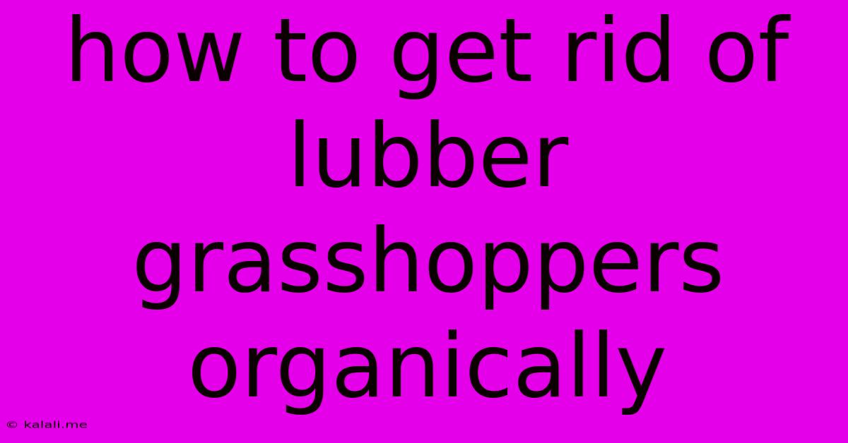 How To Get Rid Of Lubber Grasshoppers Organically