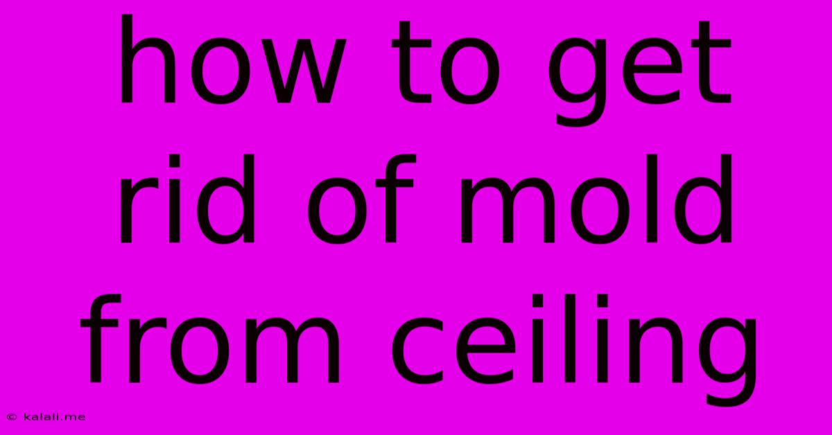 How To Get Rid Of Mold From Ceiling