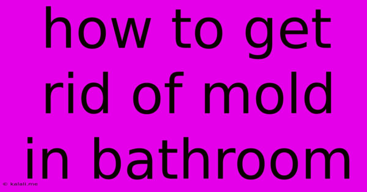 How To Get Rid Of Mold In Bathroom
