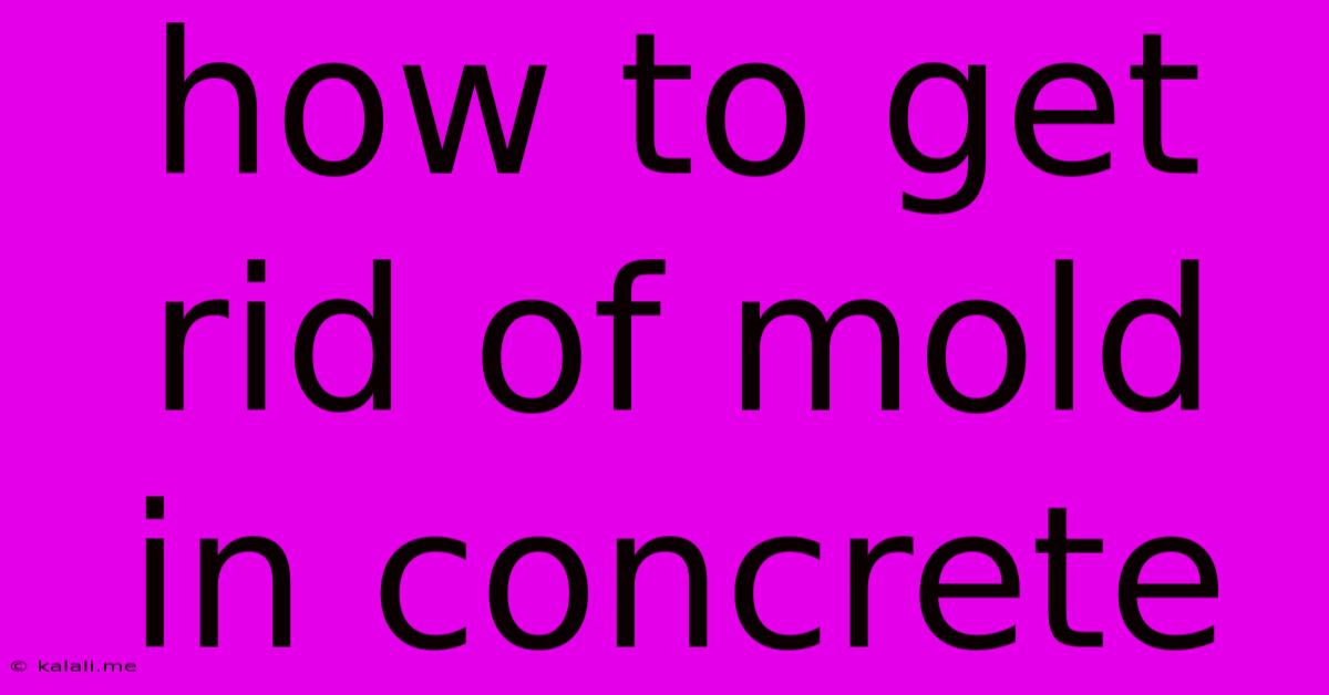 How To Get Rid Of Mold In Concrete