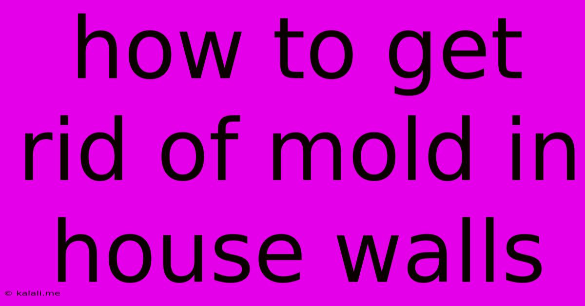How To Get Rid Of Mold In House Walls