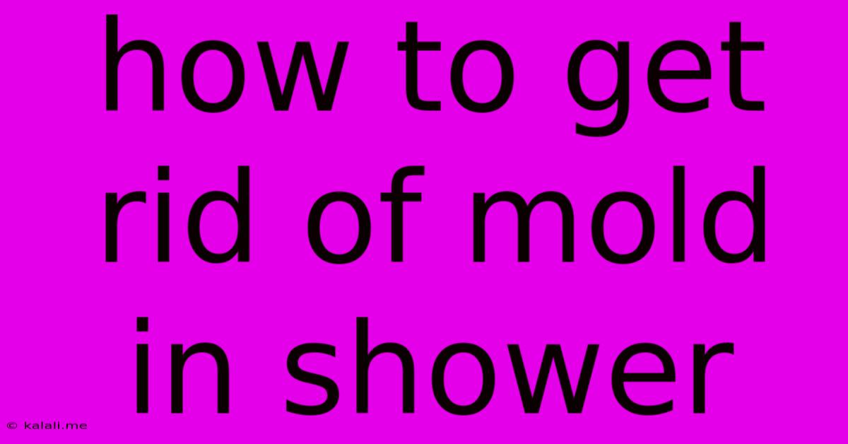 How To Get Rid Of Mold In Shower