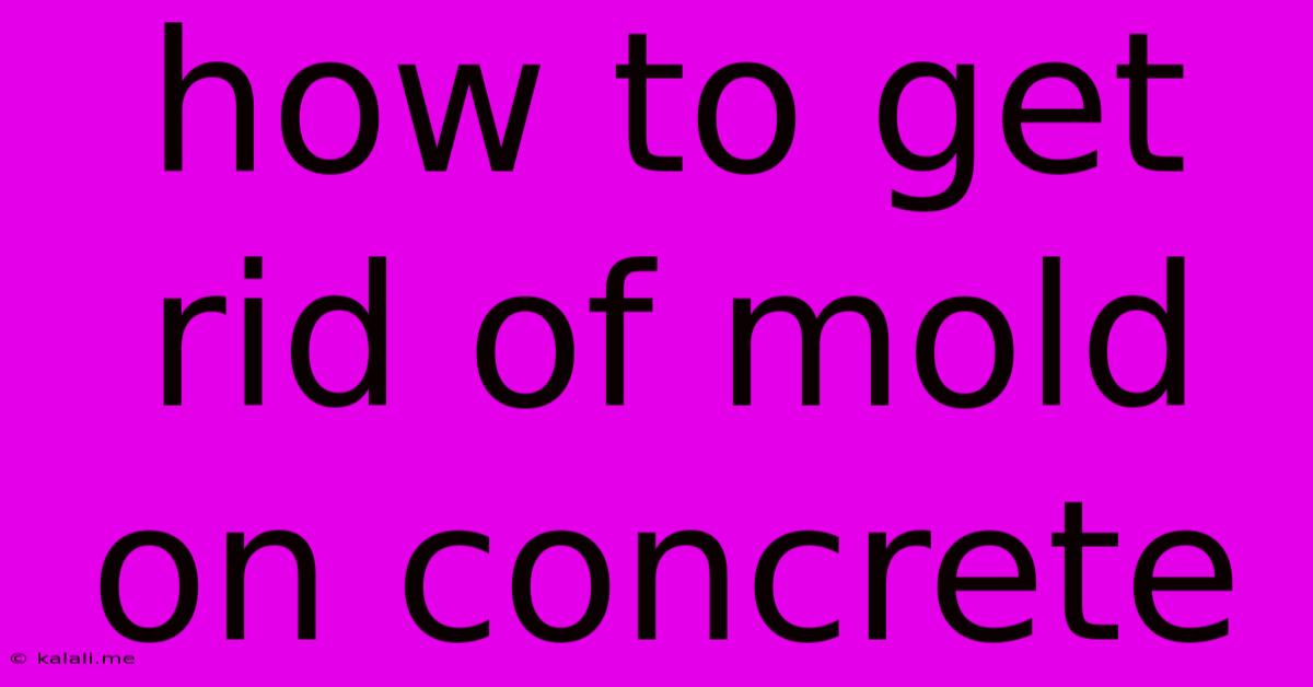 How To Get Rid Of Mold On Concrete