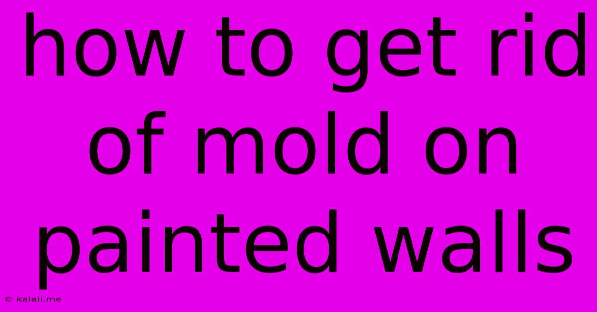 How To Get Rid Of Mold On Painted Walls