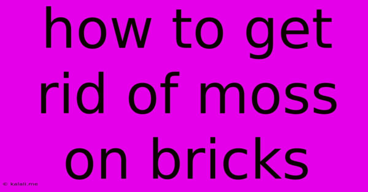 How To Get Rid Of Moss On Bricks