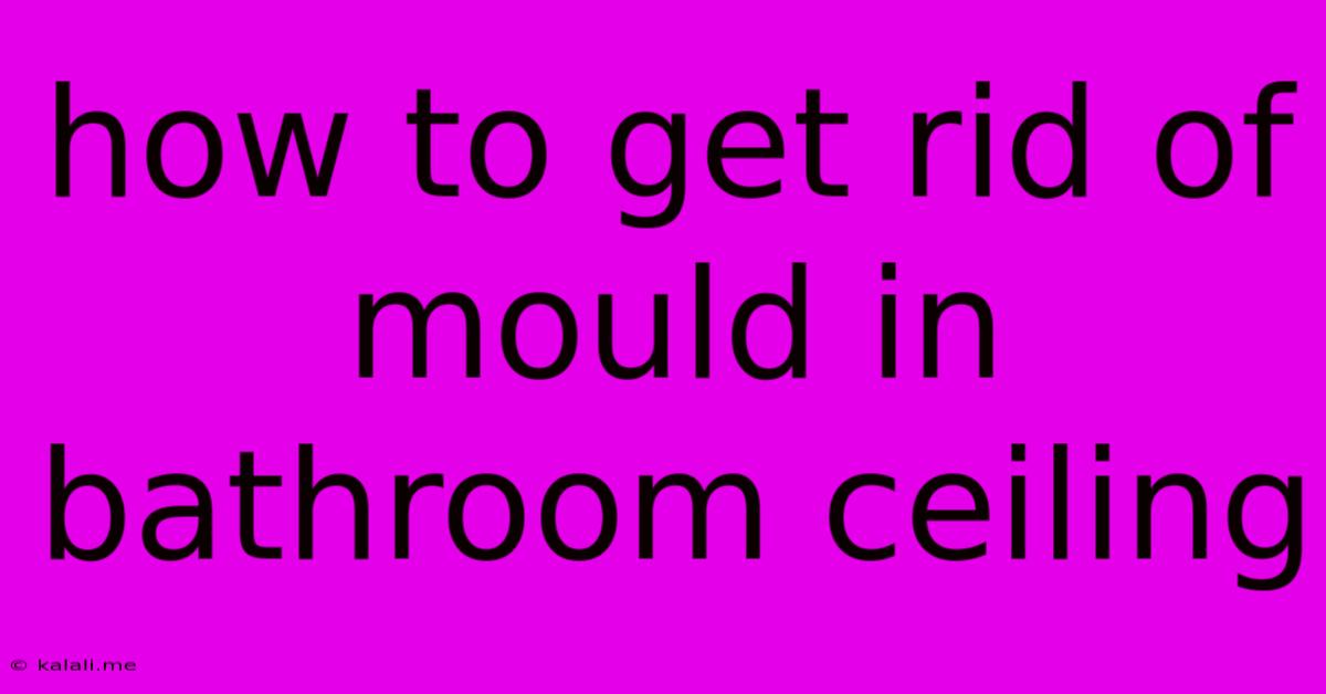 How To Get Rid Of Mould In Bathroom Ceiling