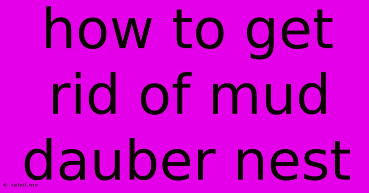 How To Get Rid Of Mud Dauber Nest