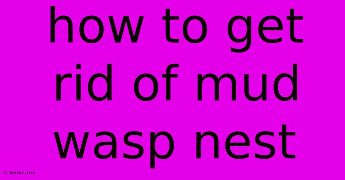 How To Get Rid Of Mud Wasp Nest