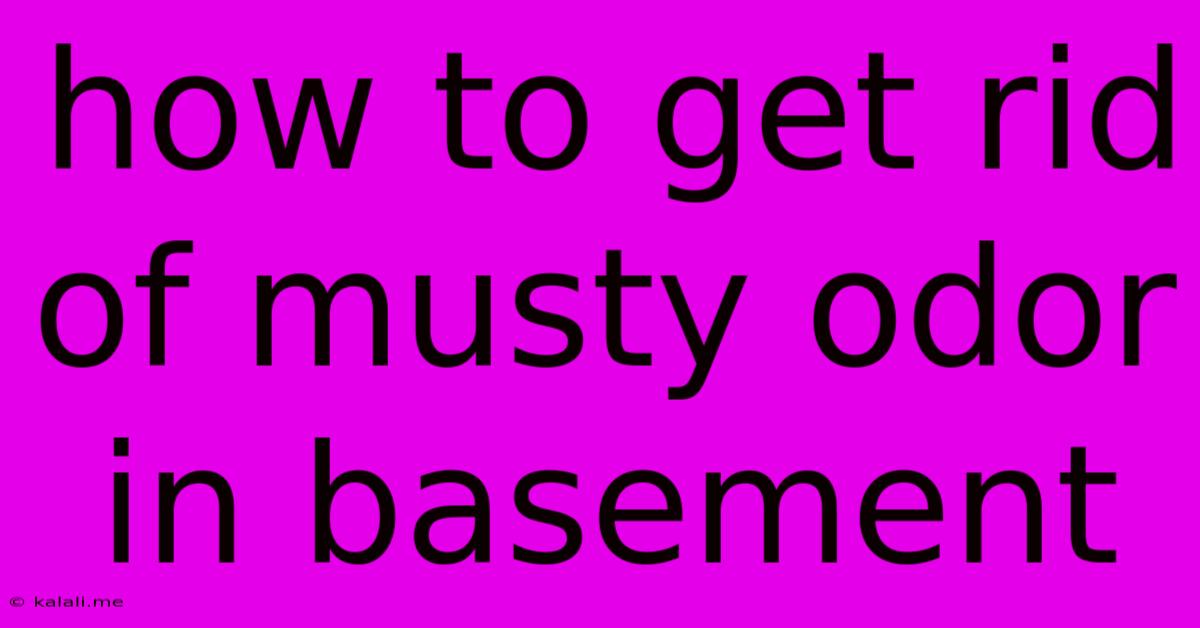How To Get Rid Of Musty Odor In Basement