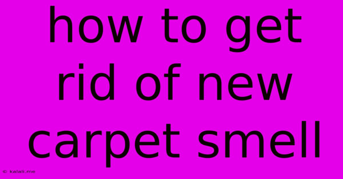 How To Get Rid Of New Carpet Smell