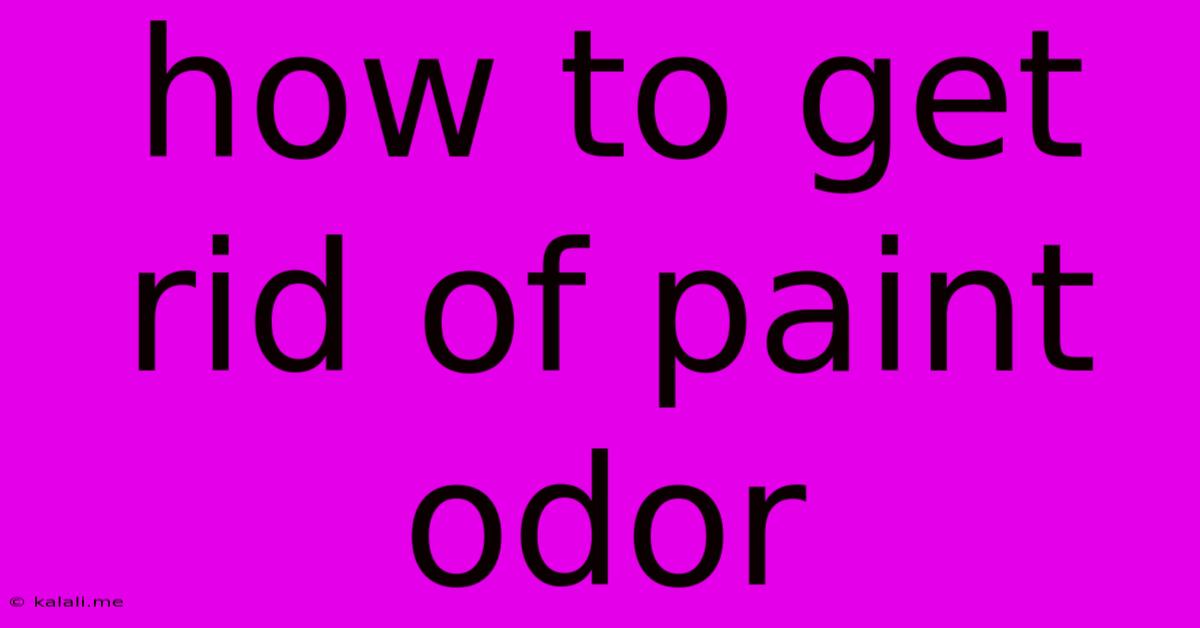 How To Get Rid Of Paint Odor