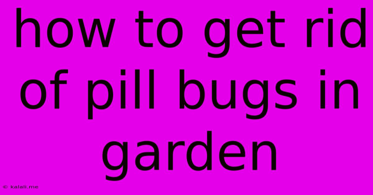 How To Get Rid Of Pill Bugs In Garden
