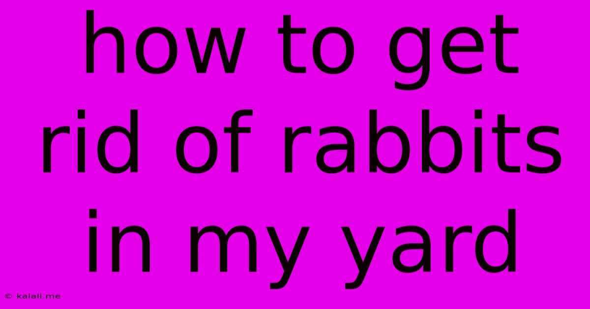 How To Get Rid Of Rabbits In My Yard