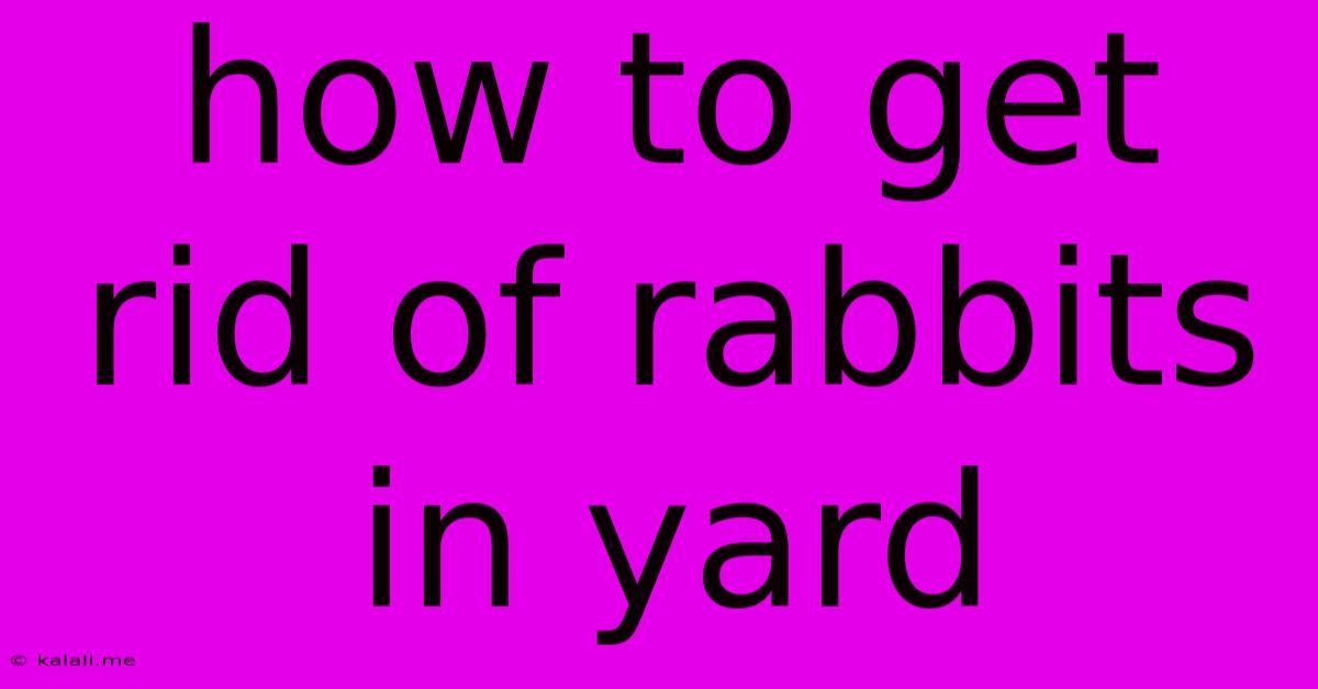 How To Get Rid Of Rabbits In Yard