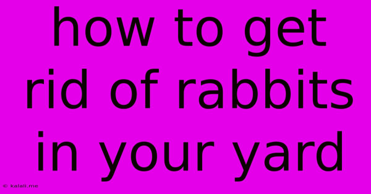 How To Get Rid Of Rabbits In Your Yard