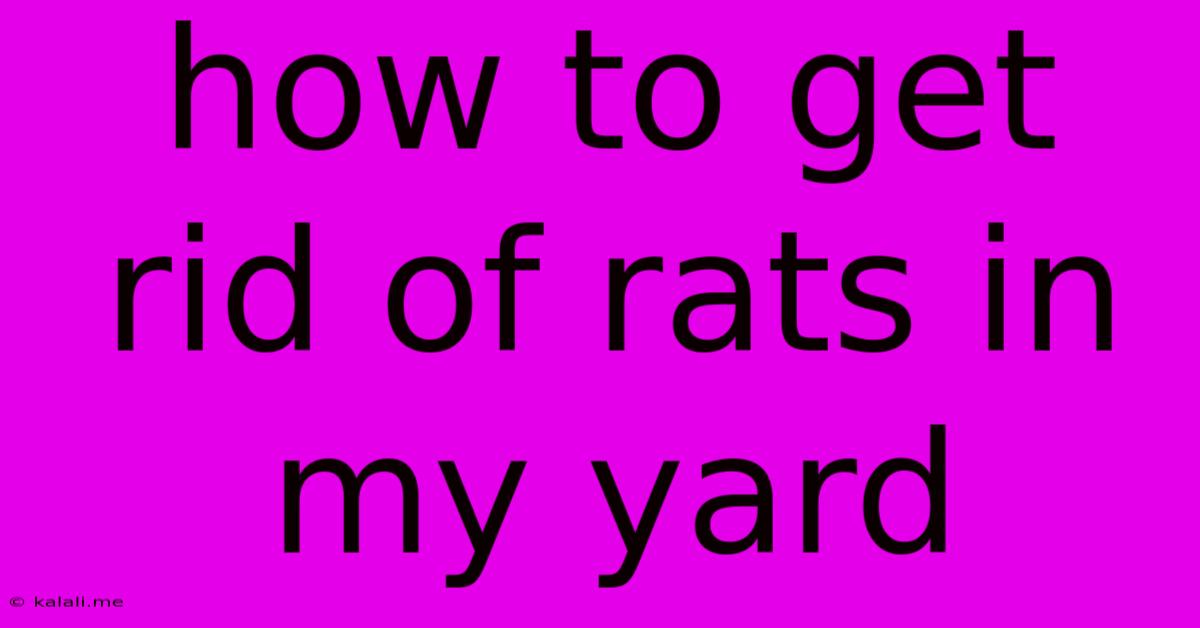 How To Get Rid Of Rats In My Yard