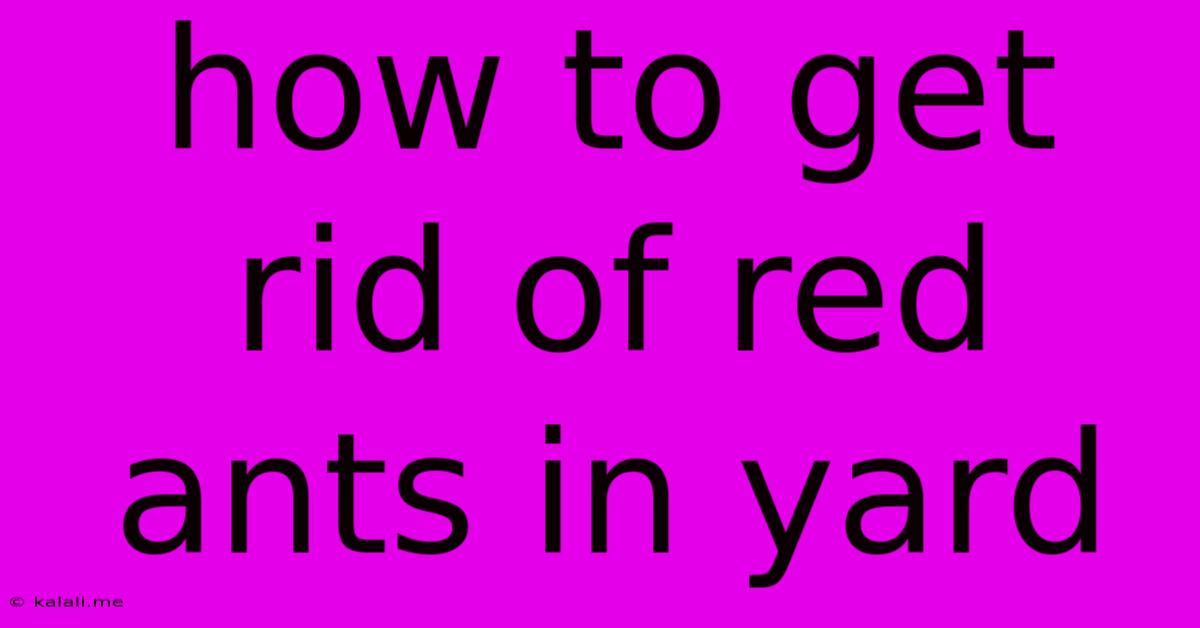 How To Get Rid Of Red Ants In Yard