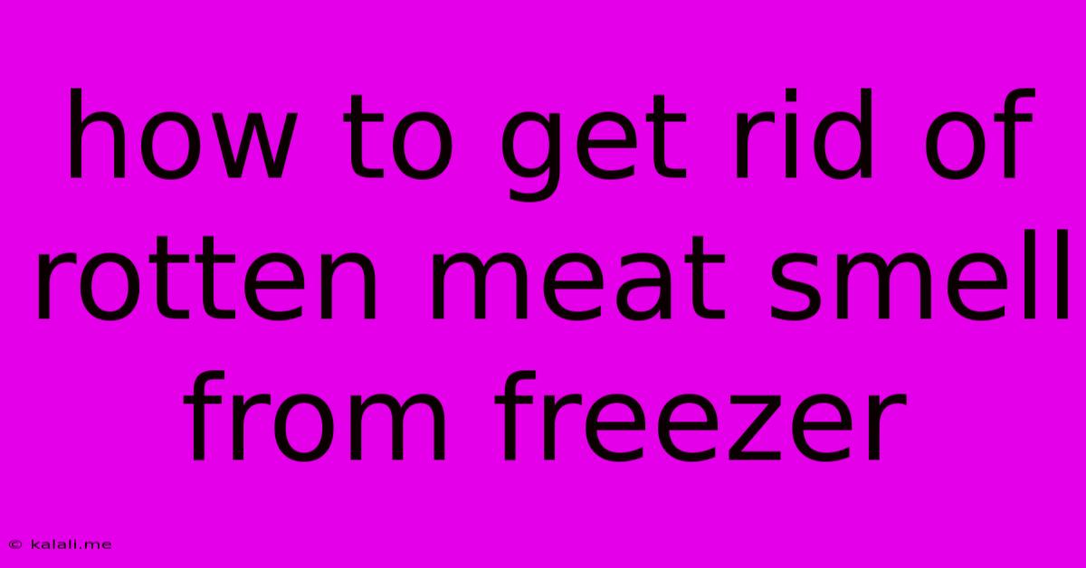 How To Get Rid Of Rotten Meat Smell From Freezer
