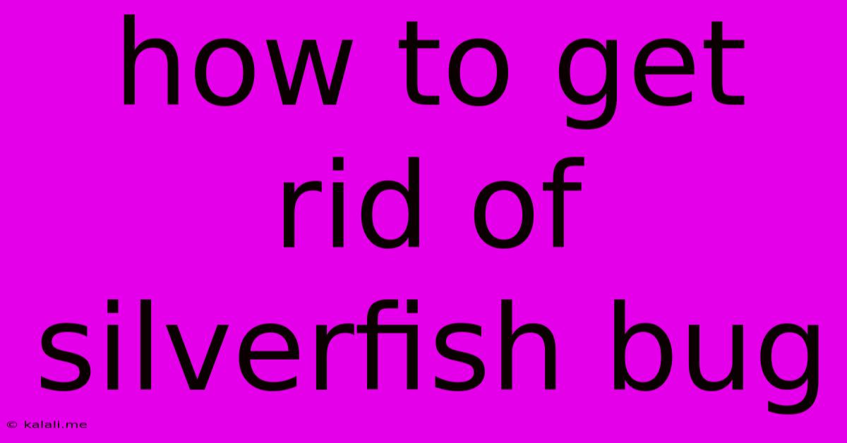 How To Get Rid Of Silverfish Bug