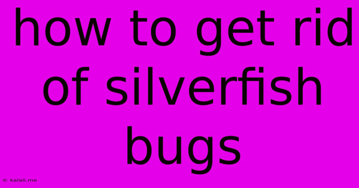 How To Get Rid Of Silverfish Bugs