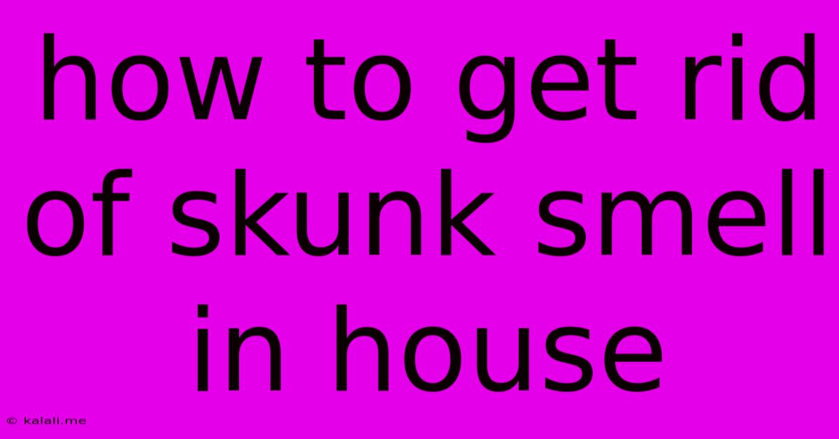 How To Get Rid Of Skunk Smell In House