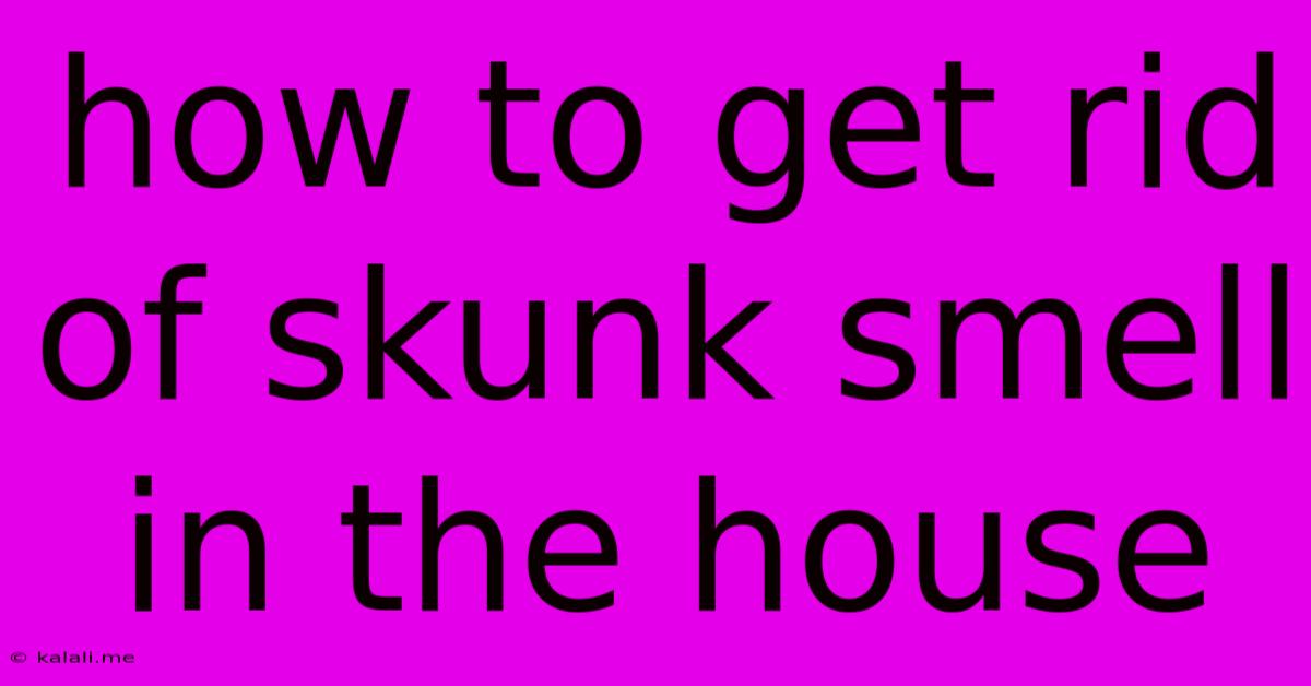How To Get Rid Of Skunk Smell In The House