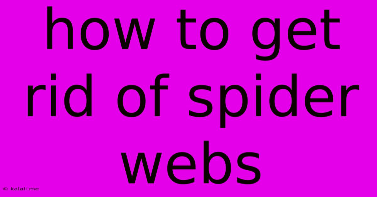 How To Get Rid Of Spider Webs