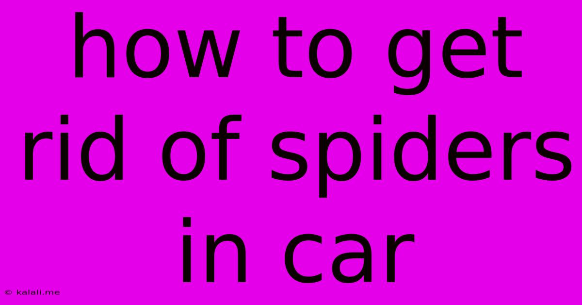 How To Get Rid Of Spiders In Car
