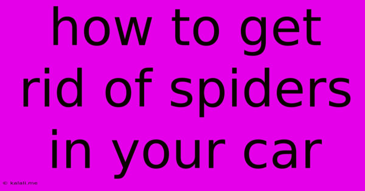 How To Get Rid Of Spiders In Your Car