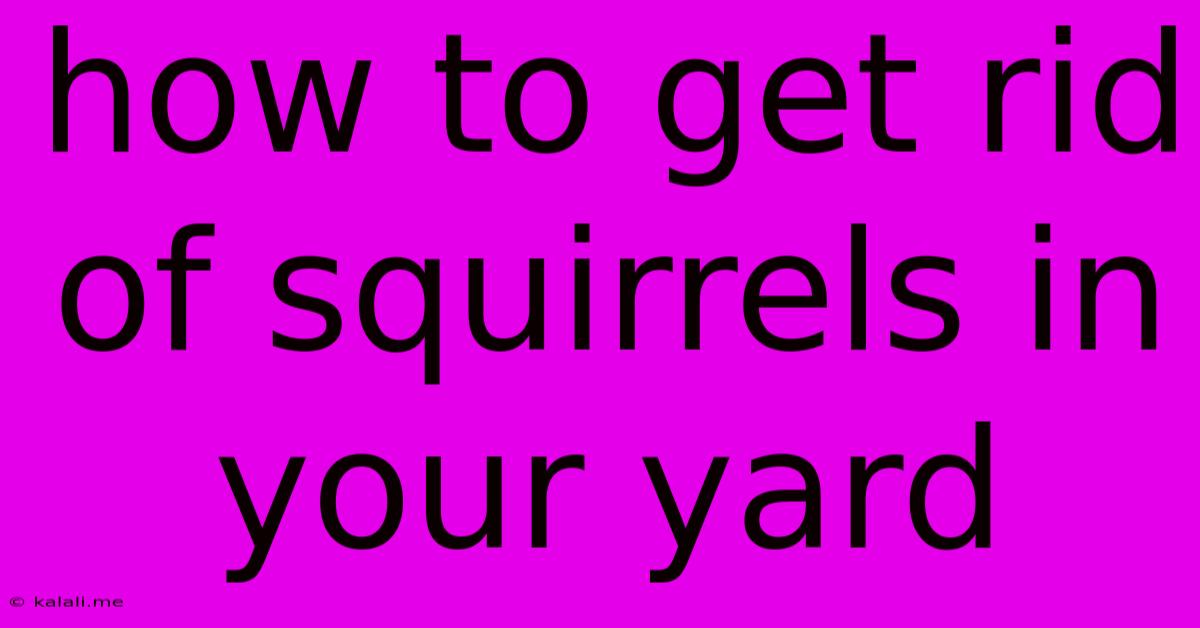How To Get Rid Of Squirrels In Your Yard
